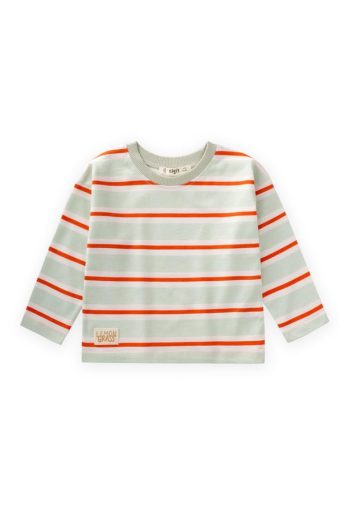 Striped Seasonal T-Shirt for Ages 1-10 Mint Orange Stripes