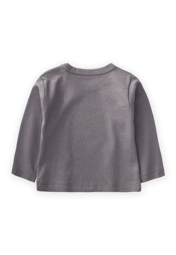Printed Seasonal T-Shirt for Ages 0-4 Grey