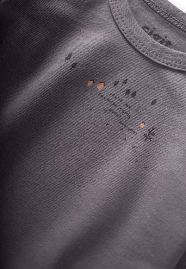 Printed Seasonal T-Shirt for Ages 0-4 Grey