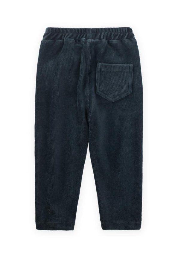 Corduroy Pants for Ages 1-8 Navy Blue