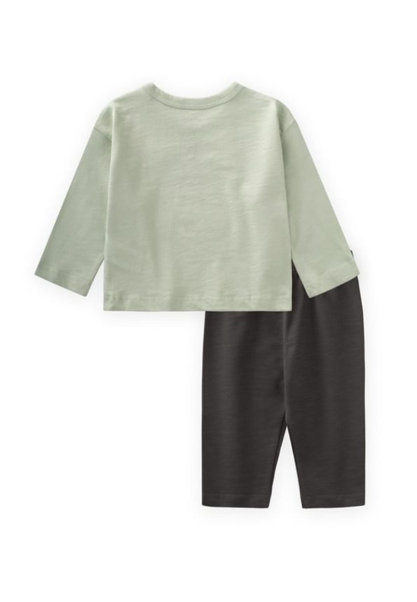 Animal Appliqué Long Sleeve T-Shirt Set for Ages 0-4 Mint Green