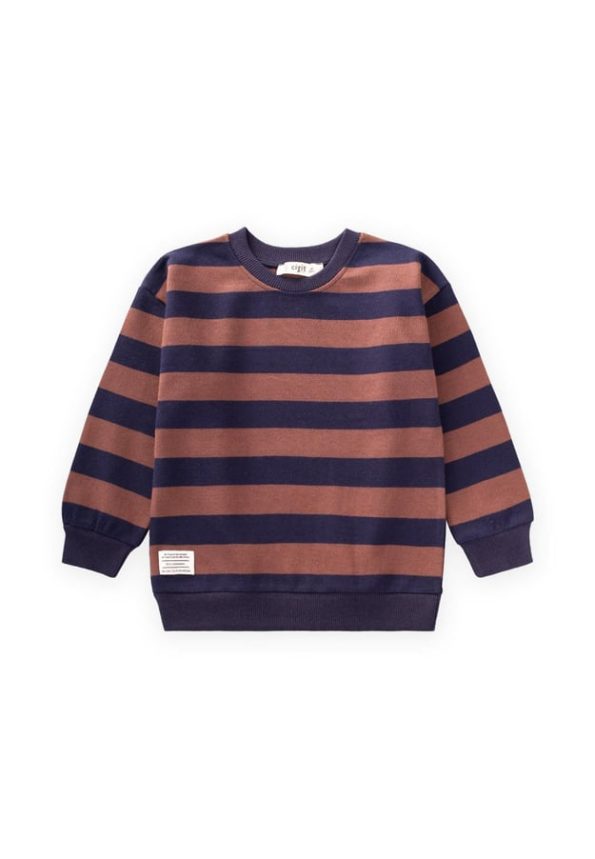 Striped Knit Sweatshirt for Ages 2-12 Navy Brown