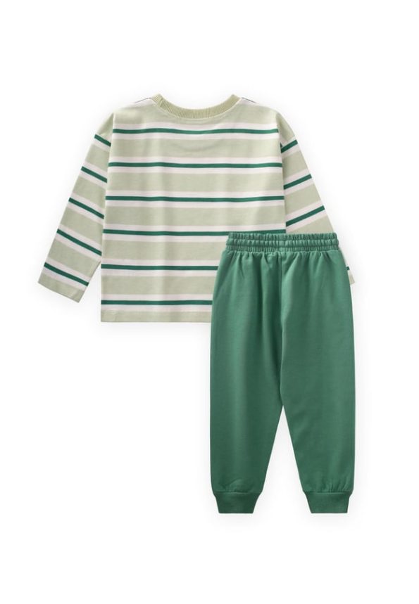 Striped Long Sleeve T-Shirt Set for Ages 2-12 Mint Green Stripes