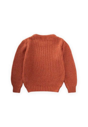 Crew Neck Knit Sweater for Ages 2-8 in Terracotta