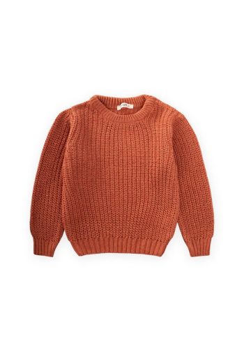 Crew Neck Knit Sweater for Ages 2-8 in Terracotta