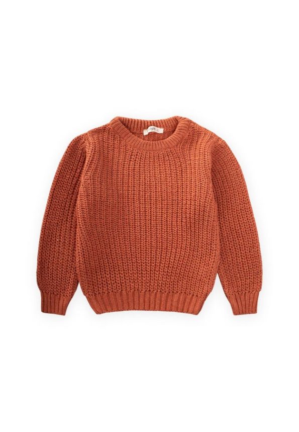 Crew Neck Knit Sweater for Ages 2-8 in Terracotta