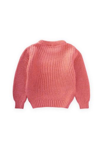 Round Neck Knitted Sweater 2-8 Years Salmon