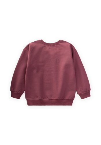 Embroidered Flower Sweatshirt for Ages 2-7 in Plum