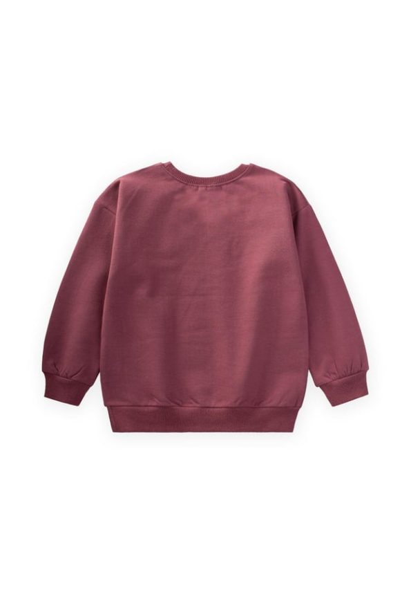 Embroidered Flower Sweatshirt for Ages 2-7 in Plum