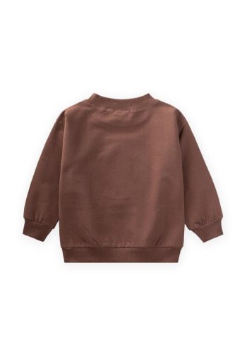 Embroidered Sweatshirt for Ages 1-7 in Brown