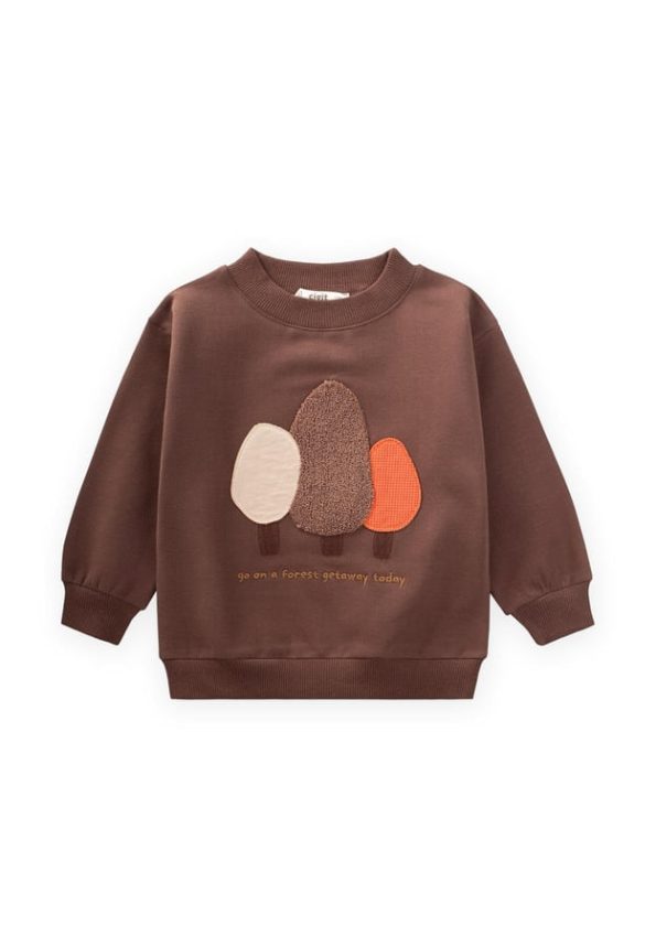 Embroidered Sweatshirt for Ages 1-7 in Brown