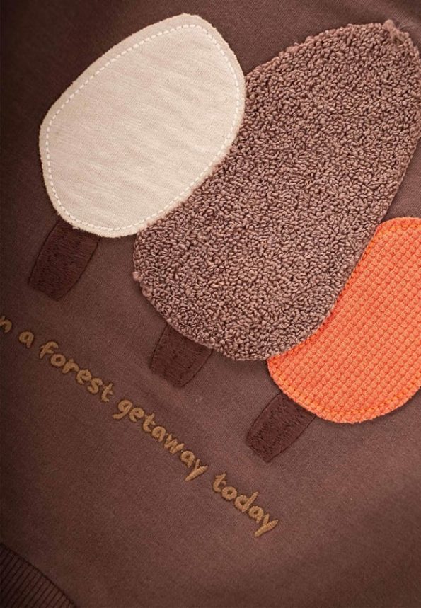 Embroidered Sweatshirt for Ages 1-7 in Brown