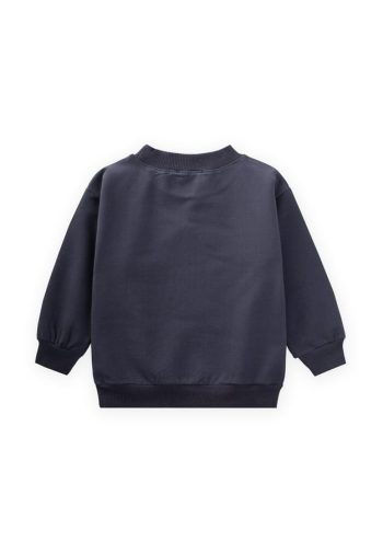 Embroidered Sweatshirt for Ages 1-7 in Anthracite