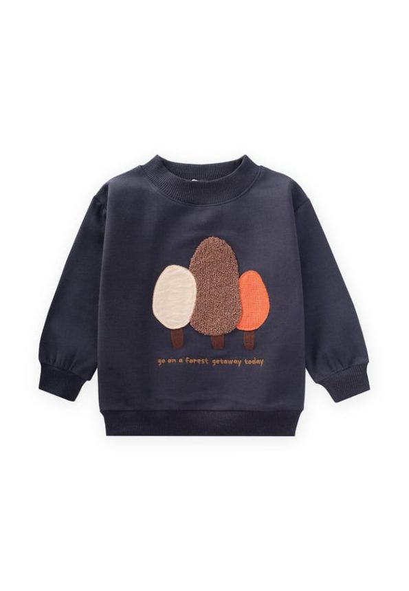 Embroidered Sweatshirt for Ages 1-7 in Anthracite