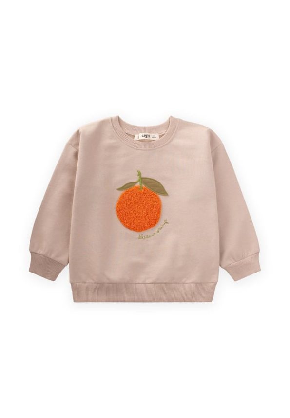 Embroidered Sweatshirt for Ages 1-7 Beige