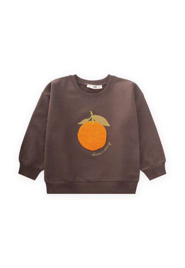 Embroidered Sweatshirt for Ages 1-7 in Brown