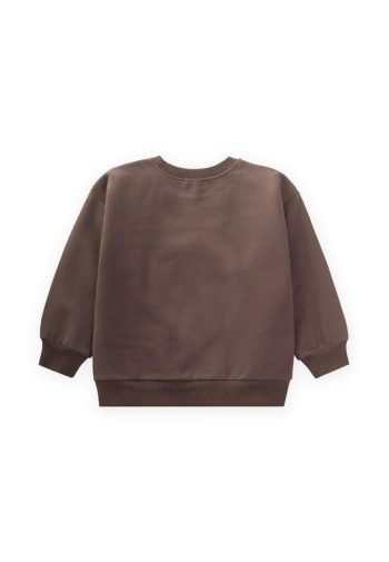 Embroidered Sweatshirt for Ages 1-7 in Brown