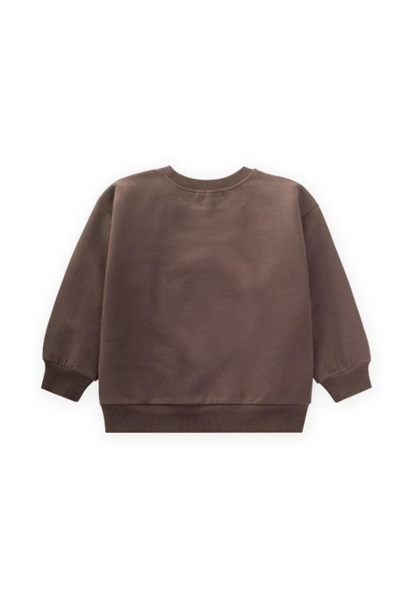 Embroidered Sweatshirt for Ages 1-7 in Brown