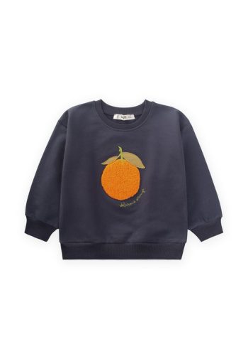 Embroidered Sweatshirt for Ages 1-7 in Anthracite