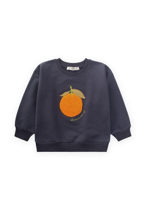 Embroidered Sweatshirt for Ages 1-7 in Anthracite