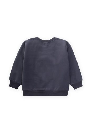 Embroidered Sweatshirt for Ages 1-7 in Anthracite
