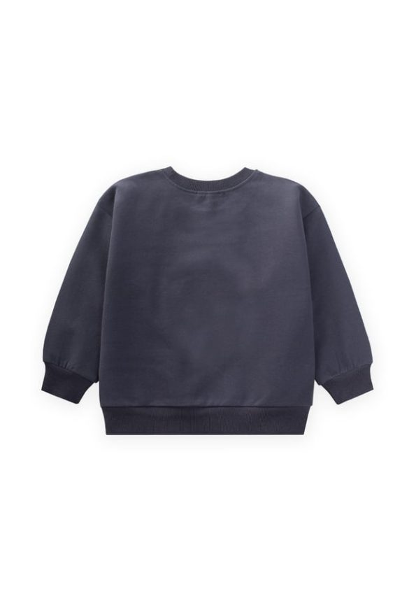Embroidered Sweatshirt for Ages 1-7 in Anthracite