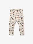 Baby Boy Dinosaur Print Leggings