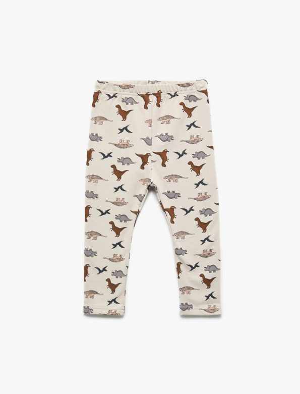 Baby Boy Dinosaur Print Leggings