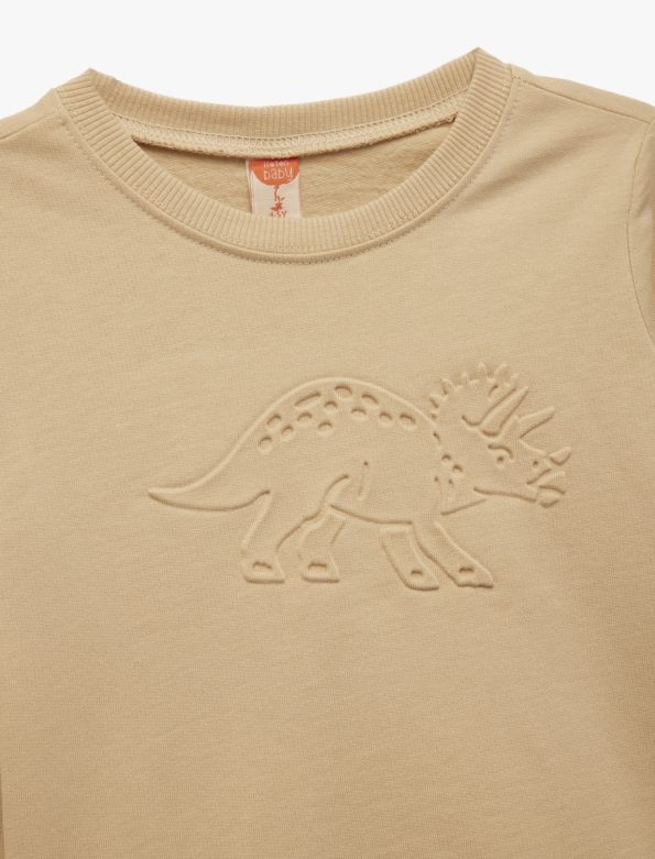 Baby Boy Dinosaur Print Sweatshirt