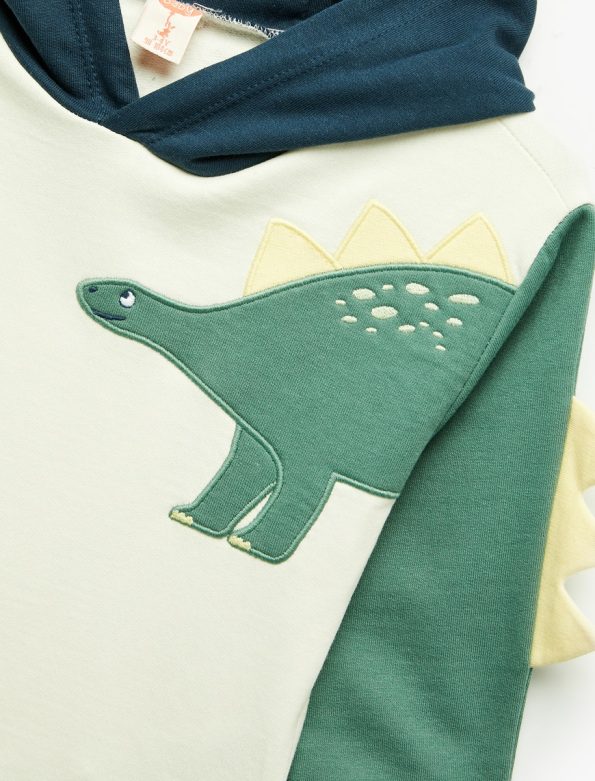 Baby Boy Dinosaur Hoodie