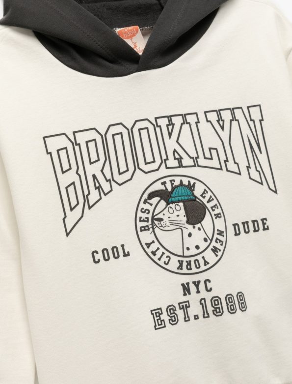 Baby Boy Printed Hooded Sweatshirt