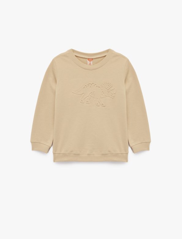 Baby Boy Dinosaur Print Sweatshirt