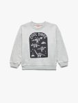 Baby Boy Printed Sweatshirt