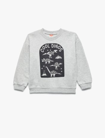 Baby Boy Printed Sweatshirt