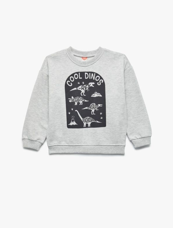 Baby Boy Printed Sweatshirt