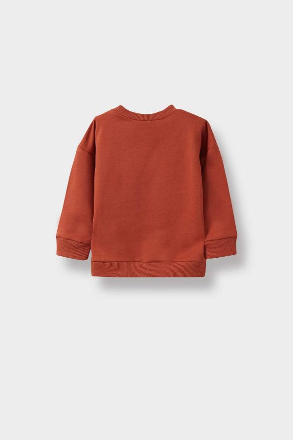 Boys' Basic Crew Neck Sweatshirt