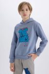 Boys' Hooded Printed Sweatshirt