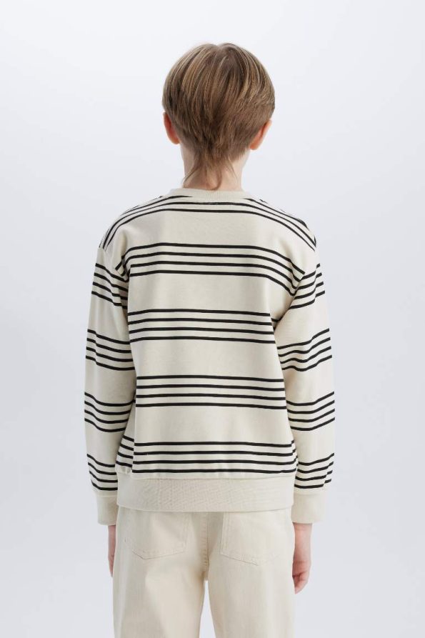 Boys' Striped Crew Neck Sweatshirt