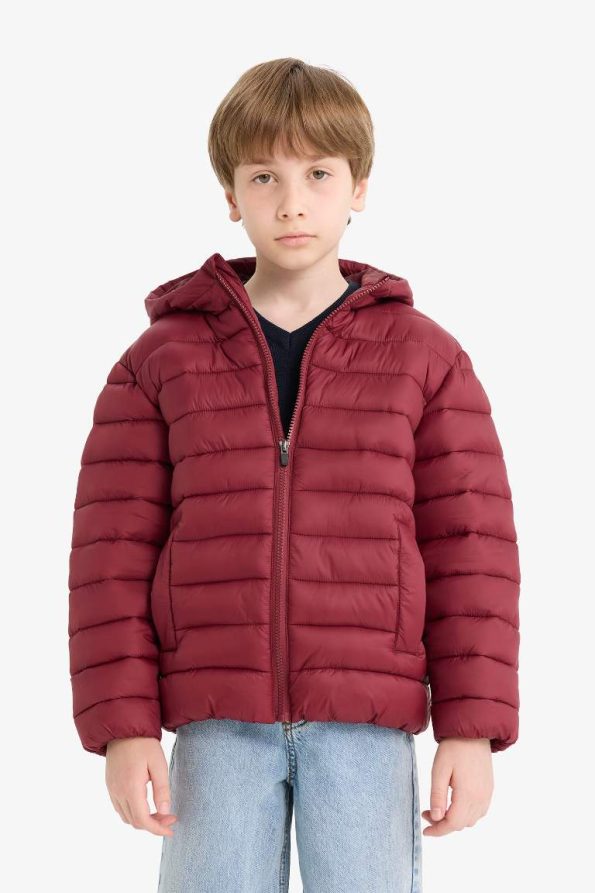 Boys' Water-Resistant Hooded Zip-Up Puffer Jacket