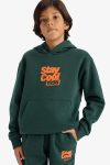 Boys' Hooded Printed Sweatshirt with Soft Fleece Lining