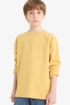 Boys' Basic Long Sleeve School T-Shirt with Crew Neck