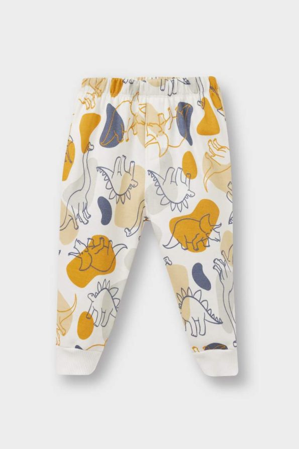 Boys' Dinosaur Print Sweatshirt and Pants Set