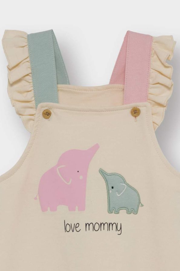 Girls' Baby 2-Piece Set with Dinosaur Print Long Sleeve T-Shirt and Overalls