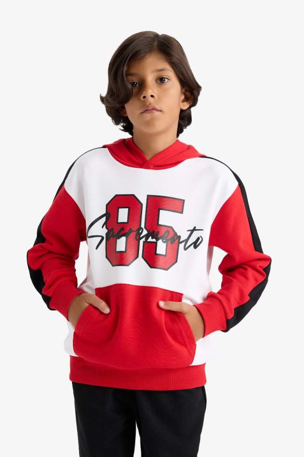 Boys' Hoodie Printed Sweatshirt and Jogger Set