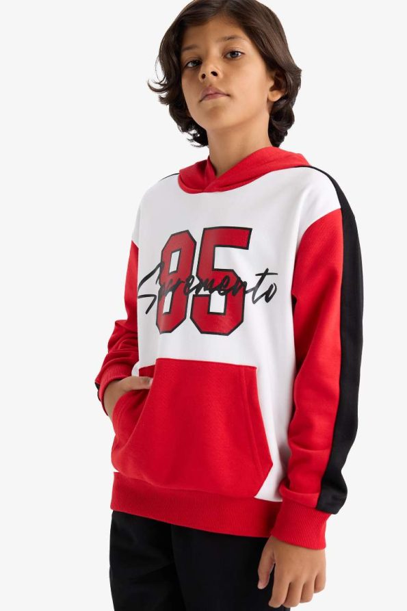 Boys' Hoodie Printed Sweatshirt and Jogger Set