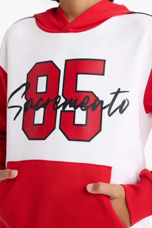 Boys' Hoodie Printed Sweatshirt and Jogger Set