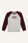 Boys' Oversized Wide Fit Embroidered Crew Neck Sweatshirt