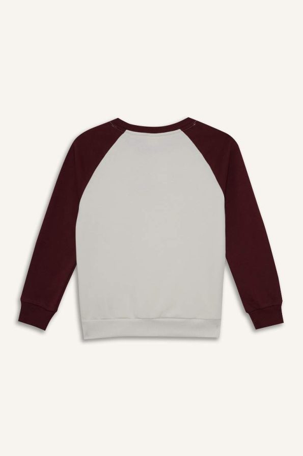 Boys' Oversized Wide Fit Embroidered Crew Neck Sweatshirt