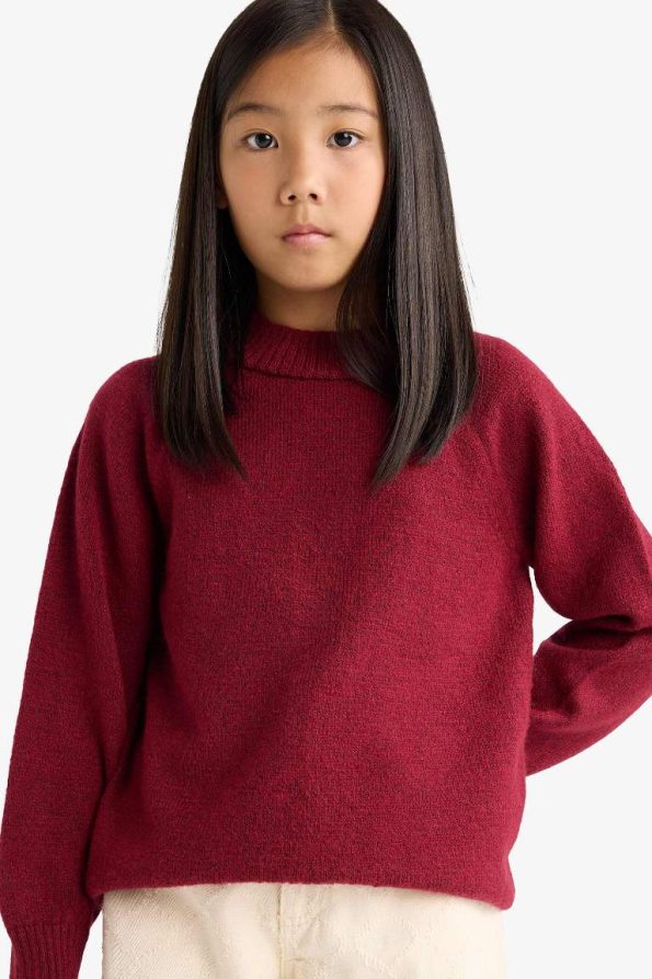 Girls' Crew Neck Knit Sweater