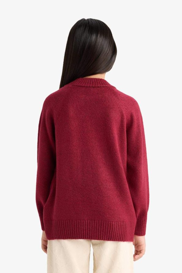 Girls' Crew Neck Knit Sweater